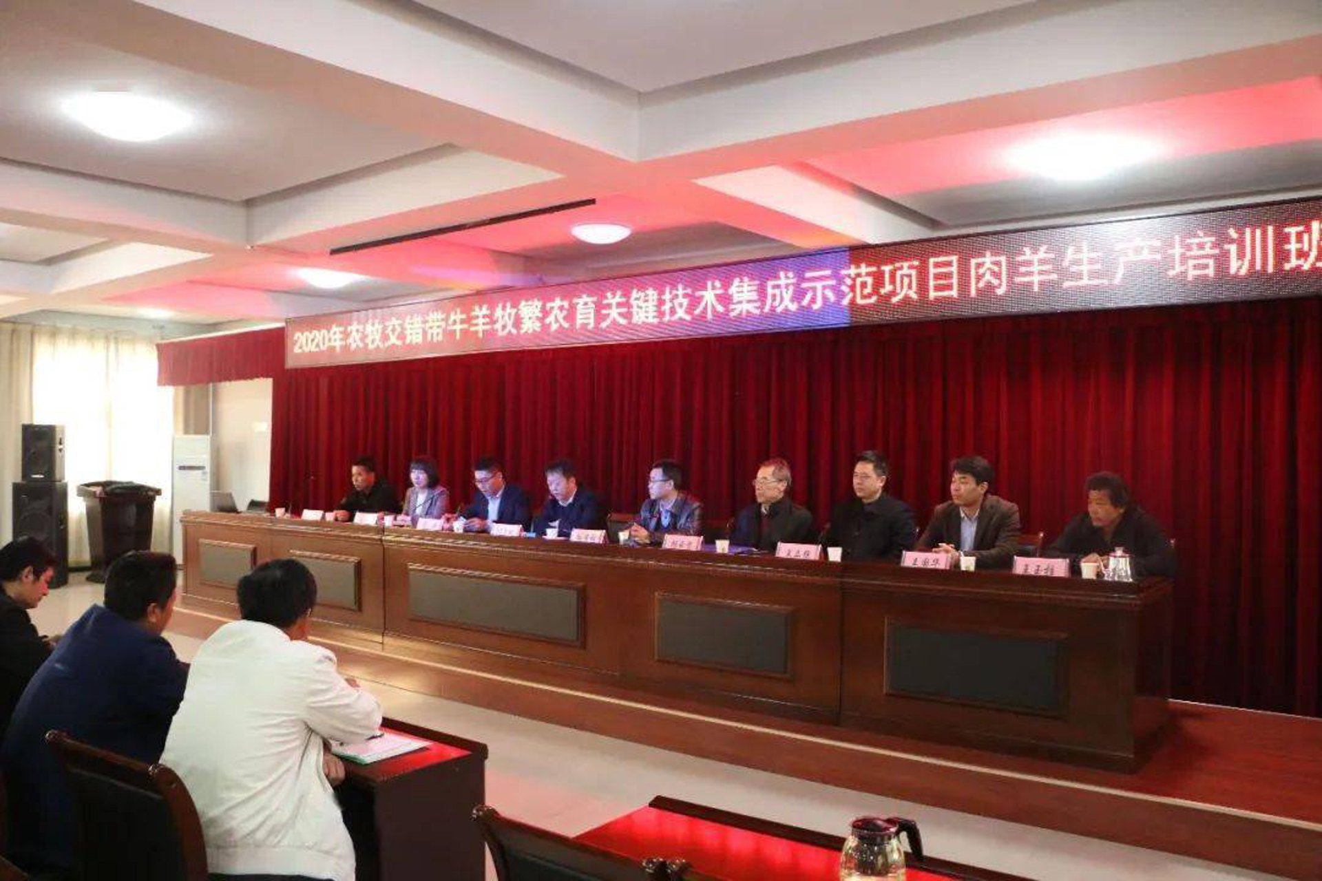铟尼镭斯科技